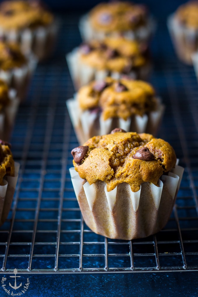Pumpkin Chocolate Chip Muffins on a wire rack on a blue tray.