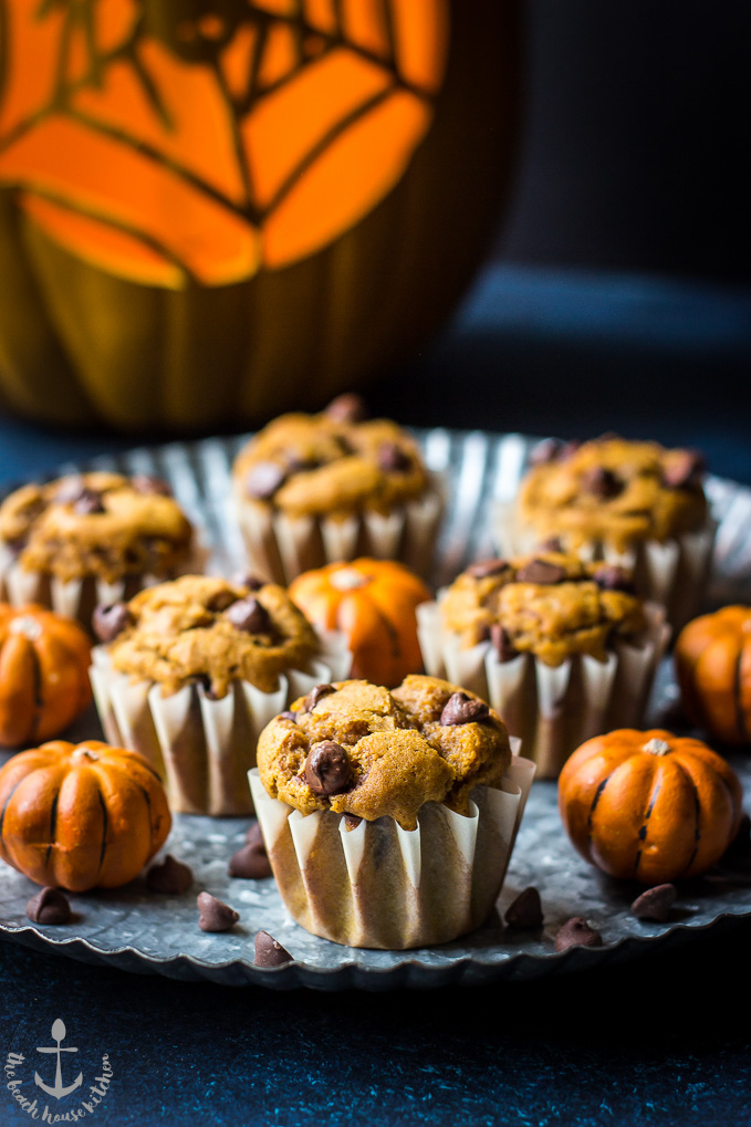Pumpkin Chocolate Chip Muffins on a silver tray with a carved pumpkin in the background.