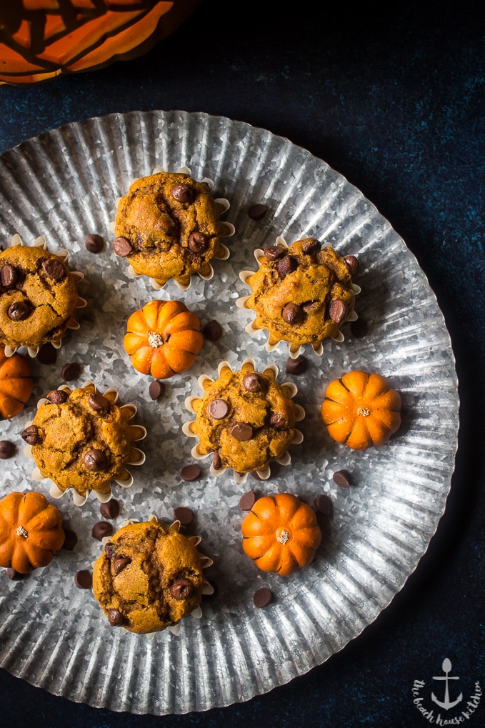 Overhead photo of Pumpkin Chocolate Chip Muffins on silver tray with mini pumpkin decorations on tray.