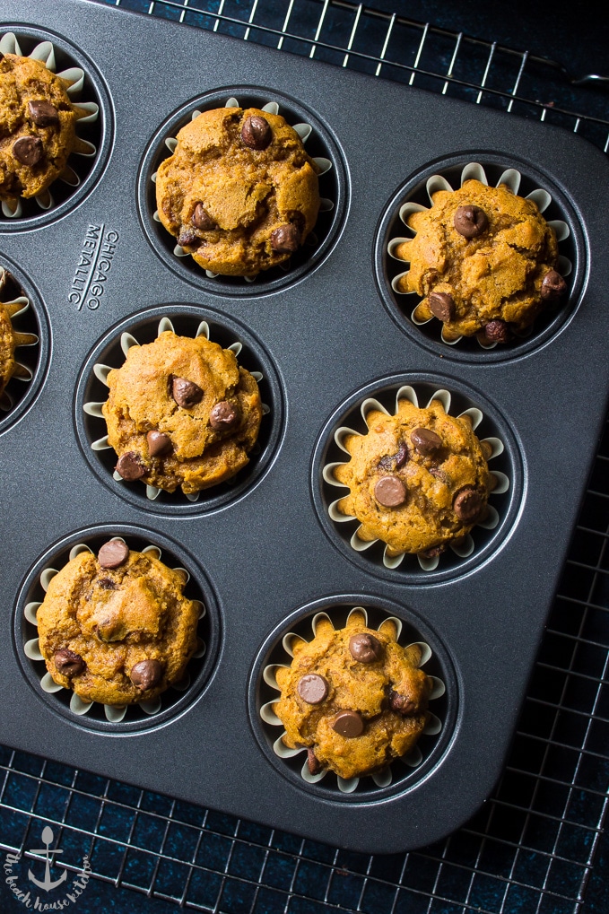 Overhead photo of Pumpkin Chocolate Chip Muffins in a muffin tray on a wire rack.