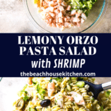 Lemony Orzo Pasta Salad with Shrimp long Pinterest pin