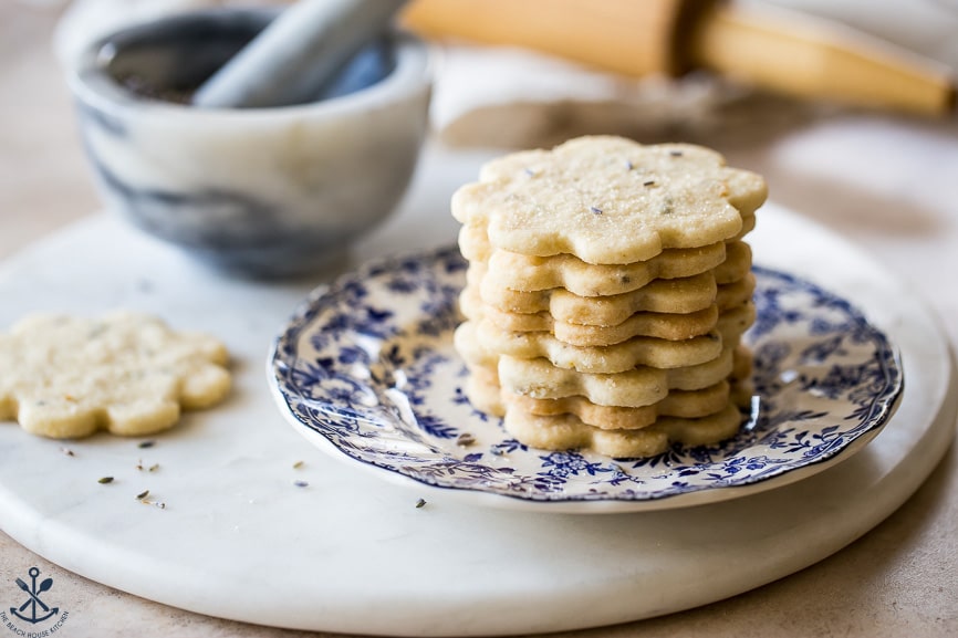 A blue and white plate with a stack of cookies
