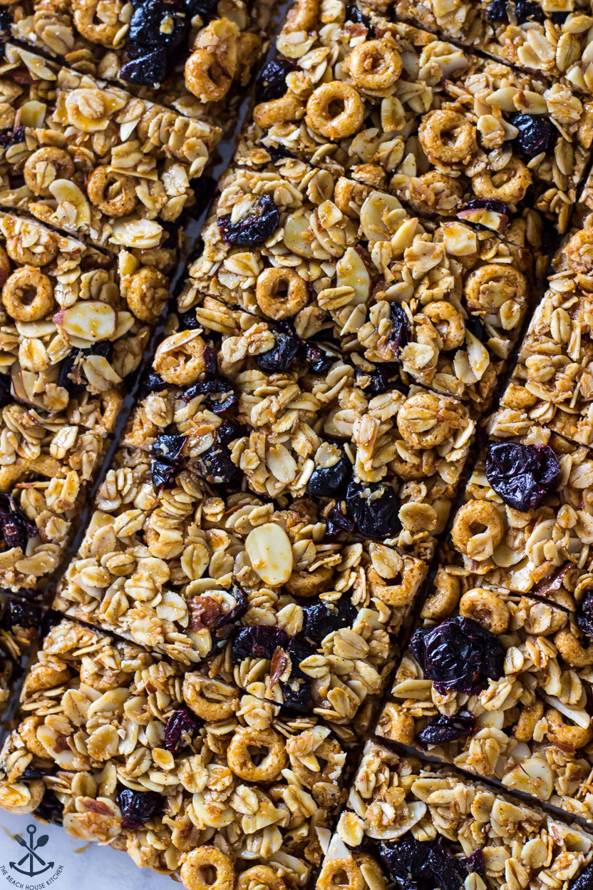 Up close overhead photo of granola bars with blueberries