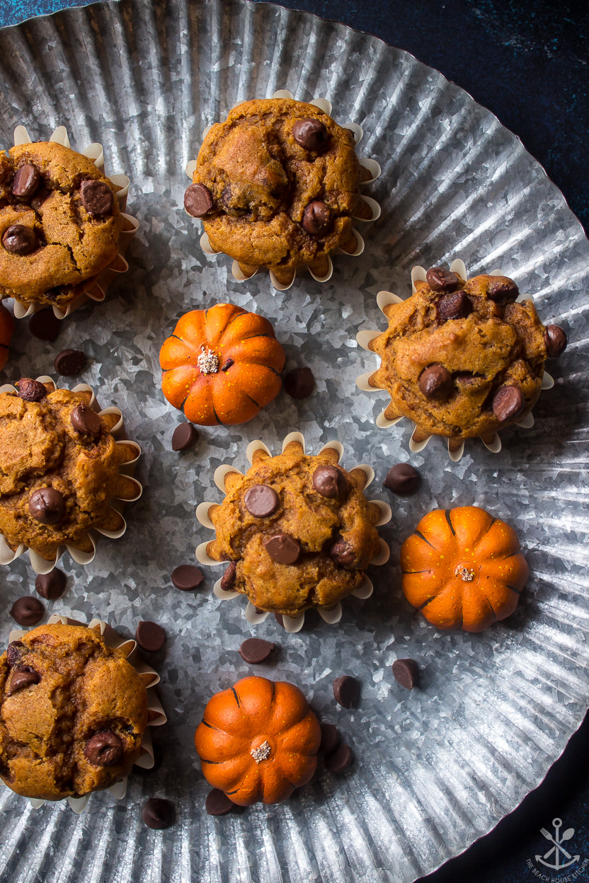 Up close overhead photo of pumpkin muffins with chocolate chips on a silver tray