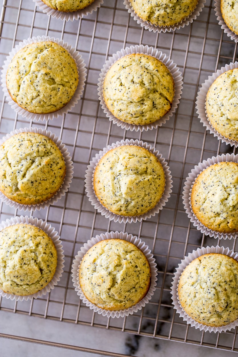 Overhead photo of some meyer lemon poppys seed muffins on a wire rackMeyer Lemon Poppy Seed Muffins
