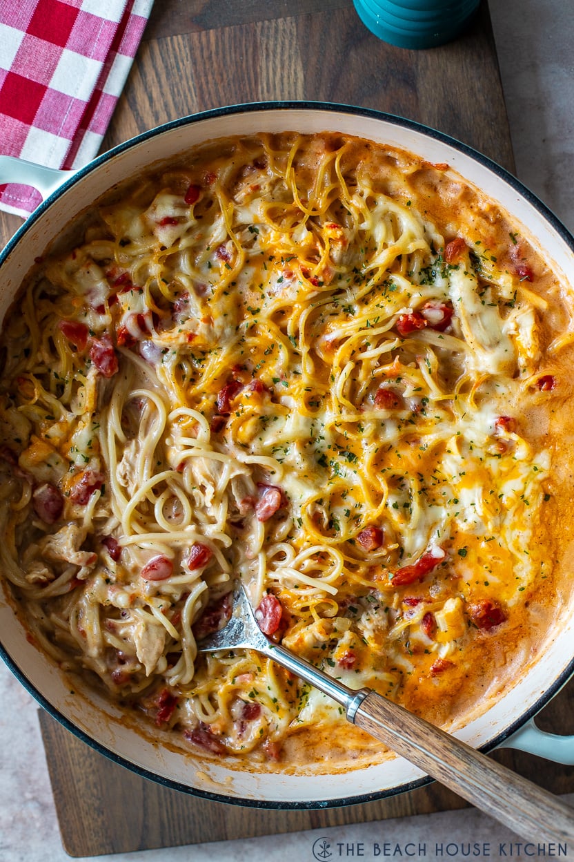 Up close overhead photo of chicken spaghetti