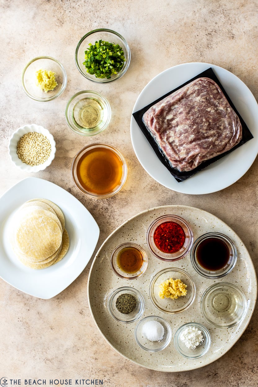 Overhead photo of the ingredients for viral blanket dumplings